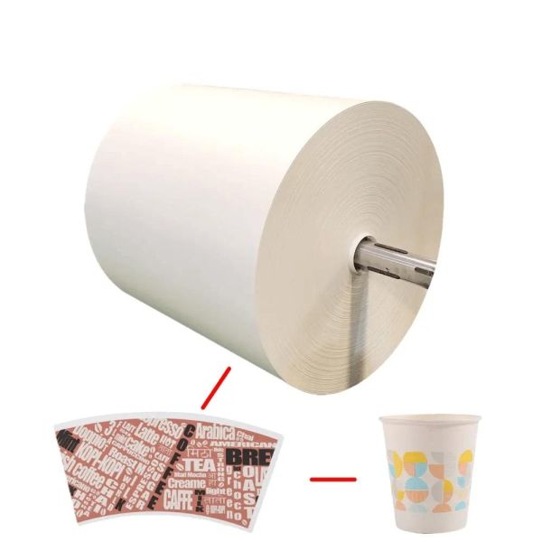 Eco Biodegradable Double Non-Plasitc Top Quality Double Side Hot Coffee Cup Material Paper Roll for Paper Product
