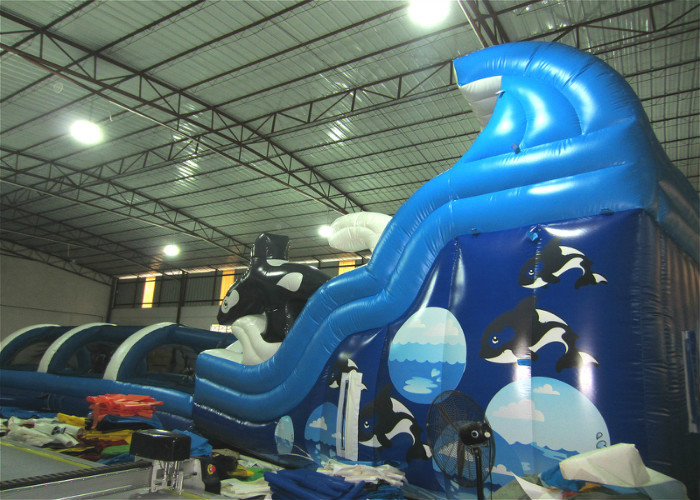 Водные горки большой партии коммерчески раздувные шелк 16 x 3,6 x 6m печатая сейф нетоксический