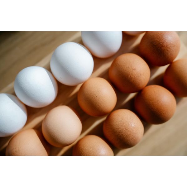 Multi Scenario Commercial Egg Cracking Machine Egg Shell Separator Machine 6000pcs/H