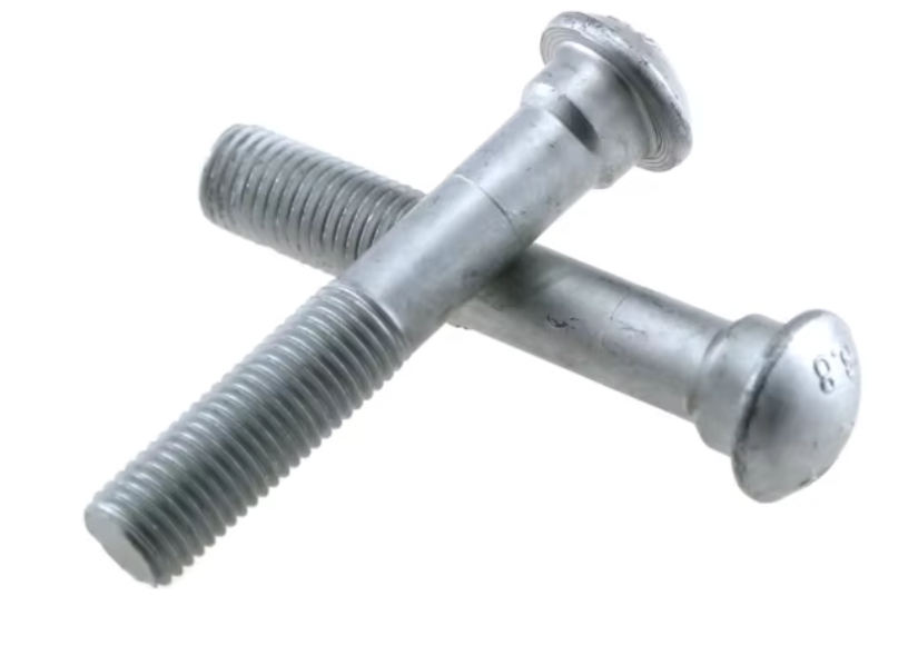 Stainless Steel 304/316 Mushroom Head Bolt JIS with Elliptic Neck / Flashbolt Profile