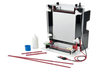 Durable Denaturing Agarose Gel Electrophoresis Apparatus Nucleic Acid Sequencing Jy-cx1b