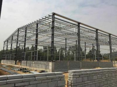 Prefabricated Steel Industrial Buildings Food Processing Workshop Industrial Food Warehouse