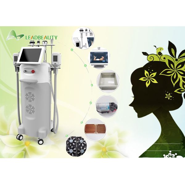 -15-5℃ can be reached Cavitation+ RF+ Vacuum cryolipolysis Machine Cryo/Ultrasound/RF heads