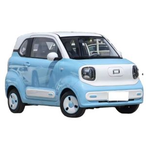 Electric Car