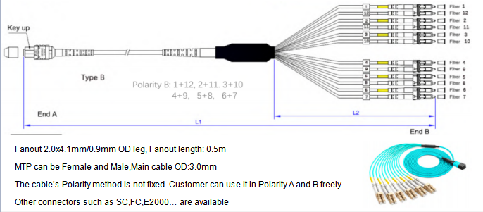 12F MTP OM4 Fiber Optic MTP-LC 2.0mm Straight Harness Cables
