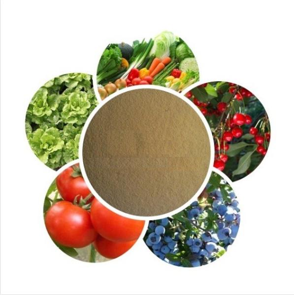 Oligoelementos compostos de aminoácidos quelatados derivados de plantas 15% Fertilizante orgânico foliar
