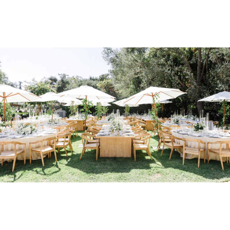 Optinal Colors Modern Dinner Chair for Events Home Wedding Rental Chairs Classic Back Stacking Dining Chair
