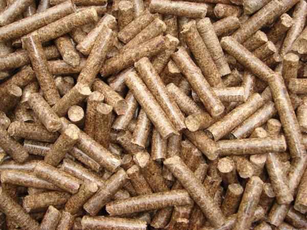 Bois de construction de marche automatique électrique coupant la scierie à chaînes à vendre