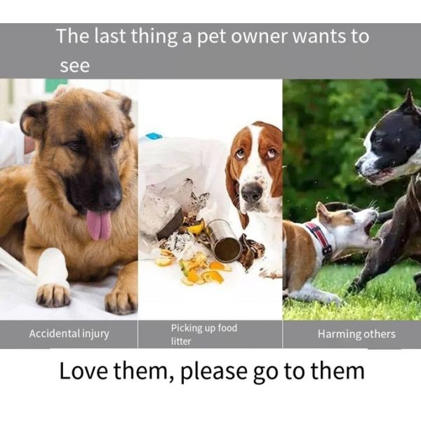 Pet Belt Elastic Night Reflective Silk Drawstring Traction Rope Outdoor Running Hands Free Dog Leash