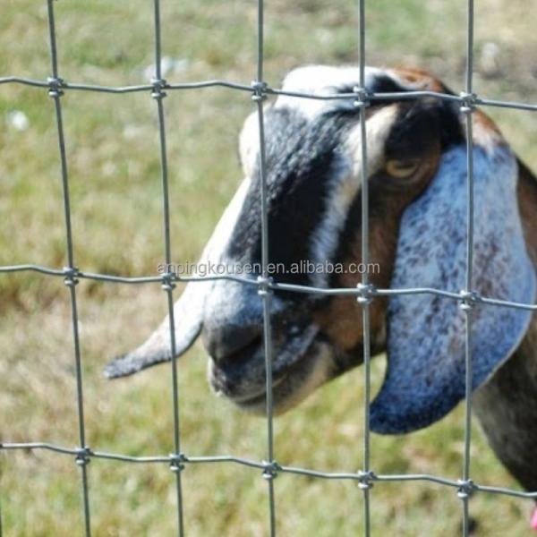 Metal Type Iron Pasture Fence 2.5mm Wire Diameter for Goat Farming 4ft-5ft-6ft-8ft
