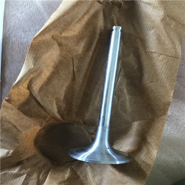 6 CyI Automotive Engine Valves for Truck 6RA1 6RA1T 6RB1 6RB1T Diesel Engine Parts