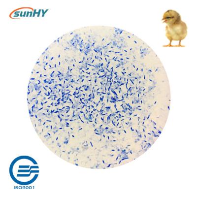 Blend Powder 200g/MT Probiotics For Animal Breeding Bird