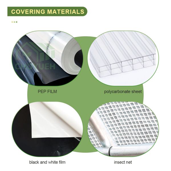 Hot Dip Glavanized Steel Polytunnel Greenhouse 10X30m Single Span