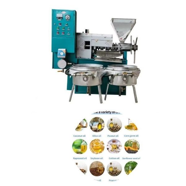 Revolutionize Your Oil Production with Our Cold Pressed Olive Oil Extraction Machine