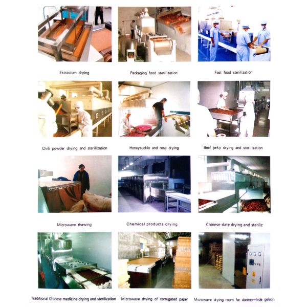 Stainless Steel Industrial Microwave Drying High Speed for peanut