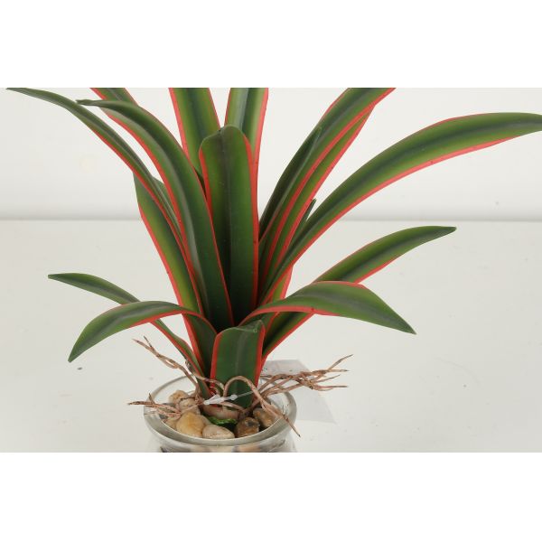 Mini Artificial Agave Bonsai With Glass Pot