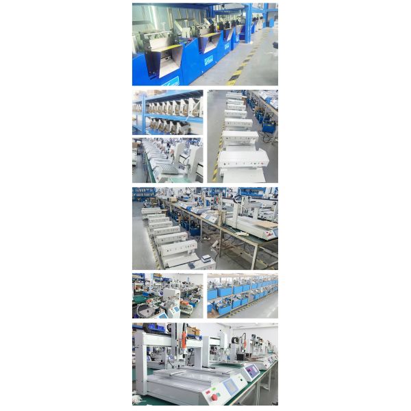 Auto Screw Pneumatic Feeder Floor Type Multi Axis Automatic Screw Locking Machine with Double Screw Head and Rotary Table Auto Screwdriver Machine