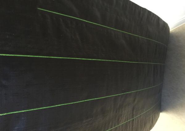material de Geosynthetics do comprimento de 50cm, anti esteira da tela do controle de ervas daninhas da vegetação rasteira da grama