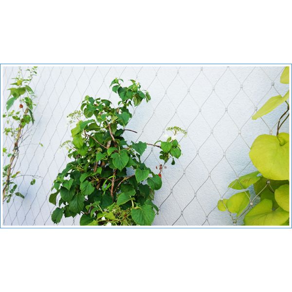 Гибкая сетка зоопарка сетки кабеля нержавеющей стали сетки кабеля веревочки провода нержавеющей стали