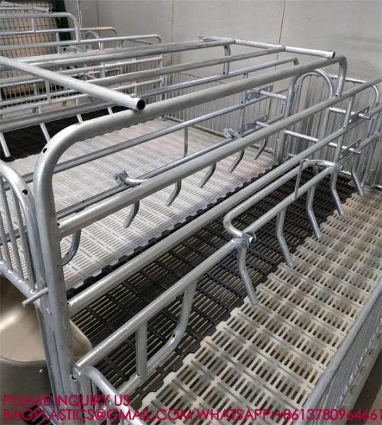 600*600mm Plastic Slats Blind Floor For Pig Farrowing Crate Equipment automatic pig injection