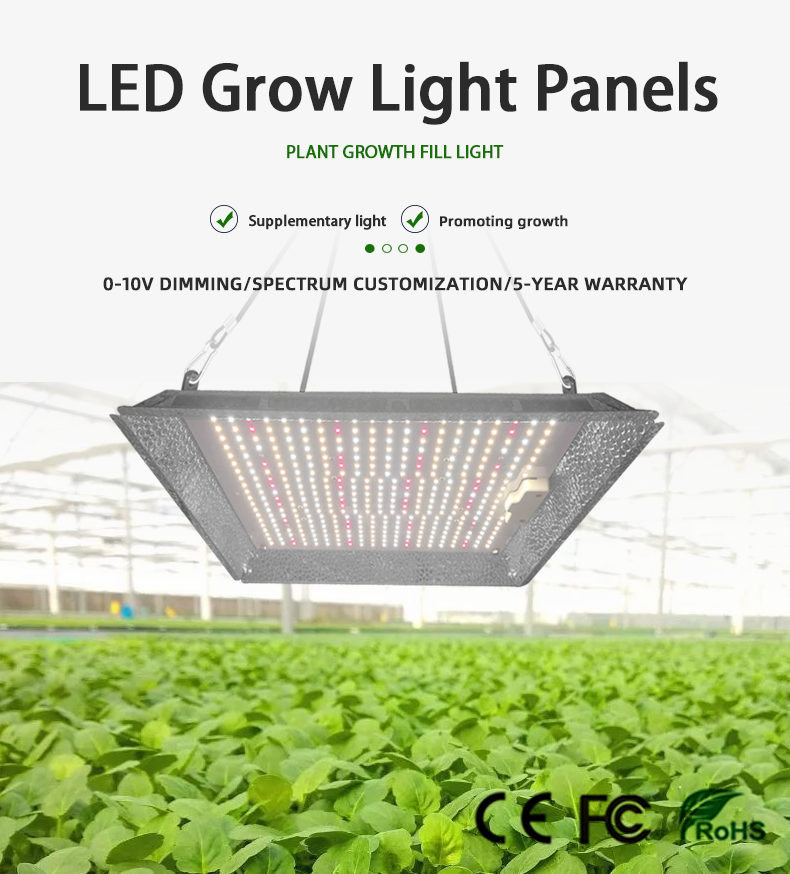 La luz de la tabla cuántica de invernadero para crecer para la tienda de cultivo