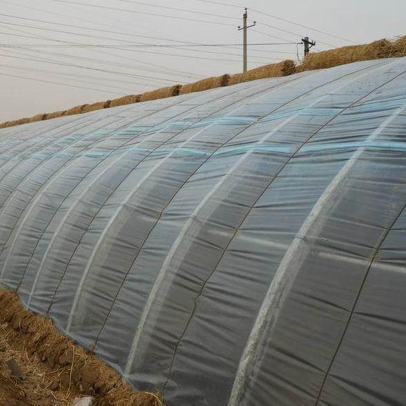 Initial Payment Commercial Tomato Planting Sunlight Greenhouse Solution Get Started Now