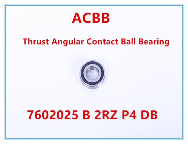 7602025 le DB de 2RZ P4 a poussé le roulement à billes de contact angulaire