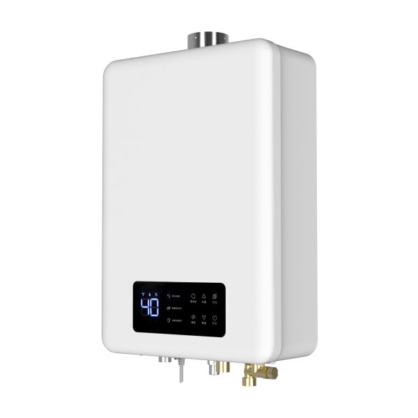 Stainless Steel Housing Home Gas Water Heater Energy Efficient Durable Construction