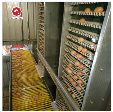 Клетка слоя цыпленка сельскохозяйственных продуктов птицы для бройлеров и цыпленоков