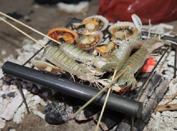 Portable Camping Grill Portable Grill Stainless Steel Tube Easy Pack BBQ Grill