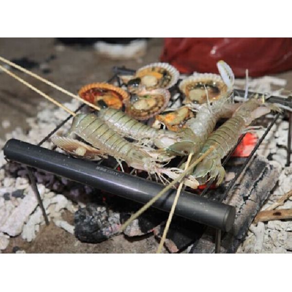 Portable Camping Grill Portable Grill Stainless Steel Tube Easy Pack BBQ Grill