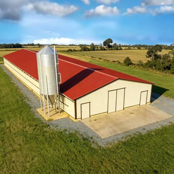 Hot-Dip Galvanized Steel Chicken House Cost-effective Solution for Quick Poultry Farm Construction