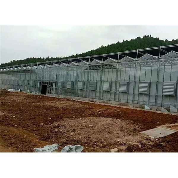 0.16-3.0 mm Thickness Aluzinc Coated Steel Used For Ship Or Agriculture And Buildings