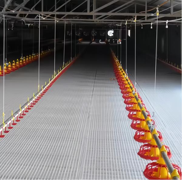 Boireuse automatique en plastique pour l' alimentation des volailles, mangeuse entièrement automatique pour les animaux