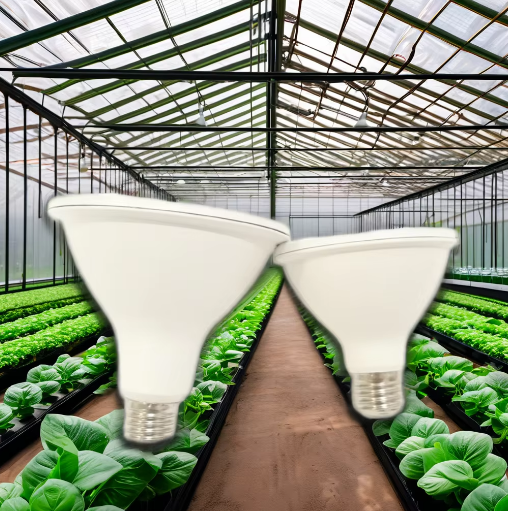 Hot Sale PAR38 LED Grow Light Full Spectrum 12W 15W 18W for Flower Plants & Fruits LED Fill Light