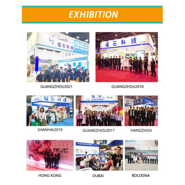 China Lasylaser Beauty Supply