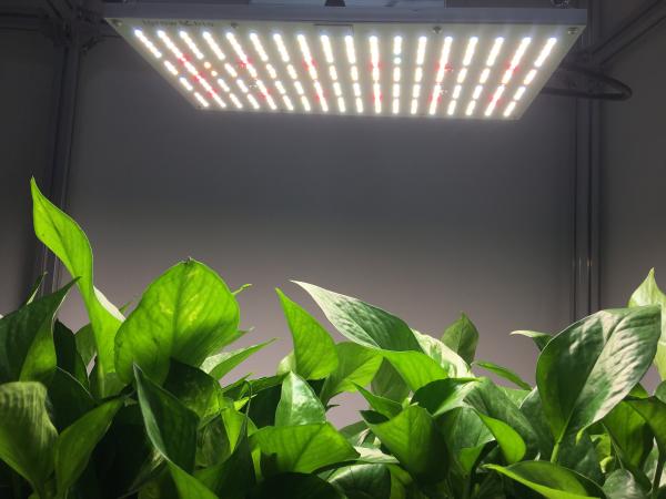 3500K Samsung Lm561C Quantum Board Led Grow Lights
