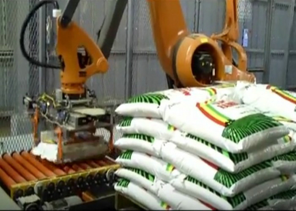 Industrial Robotic Automatic Palletizer Machine , Compact Robotic Bag Palletizer