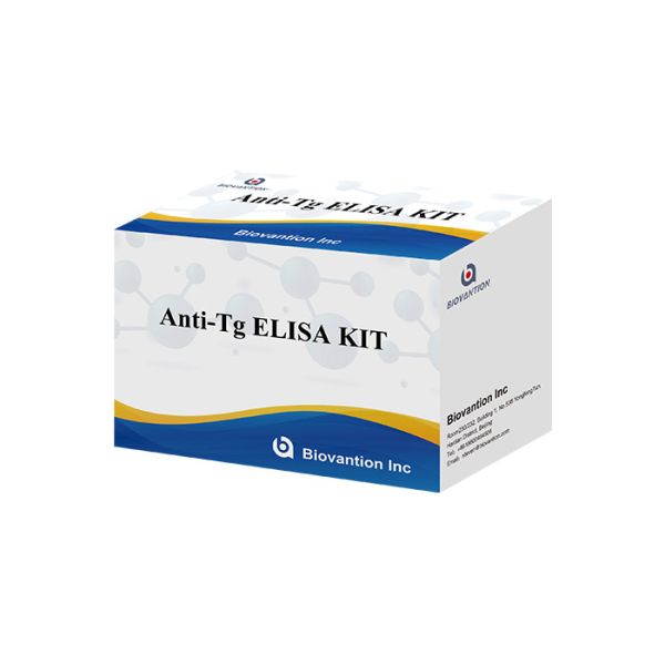 BIOVANTION Anti Thyroglobulin Antibody Test Anti Tg Ab Test Kit