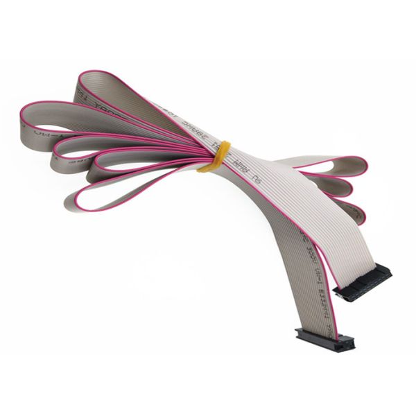 FC -20 Pin 2.0mm Pitch 2*10P Flat Ribbon Cable Assembly With Double Row IDC Female