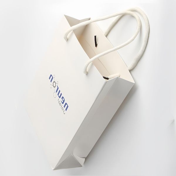 Customization High End Shopping Bags Environmental Protection Stylish Design