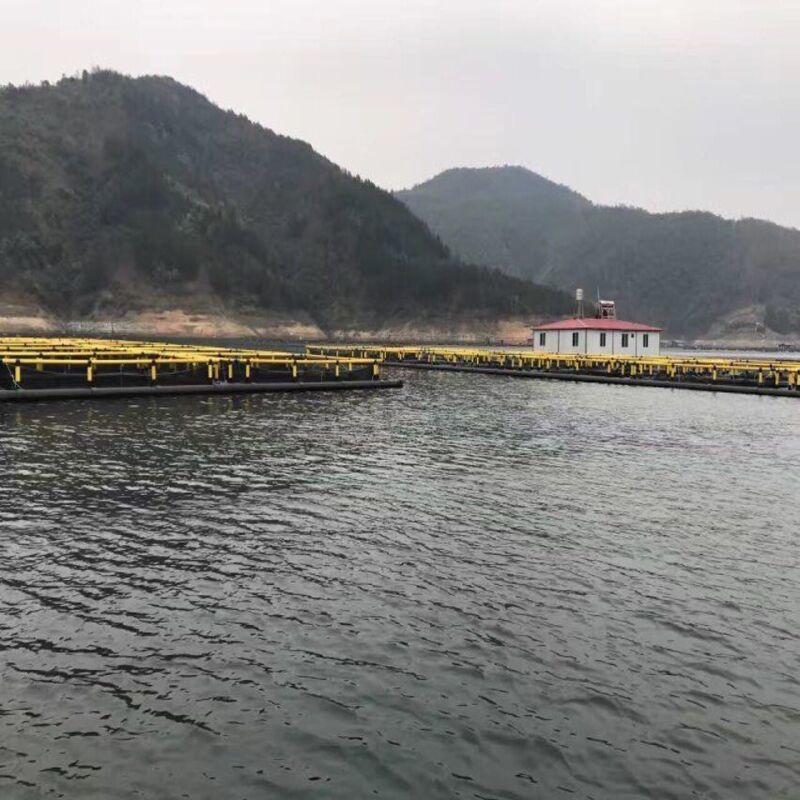 Export‑Grade Modular HDPE Fish Cage, Efficient Container Loading