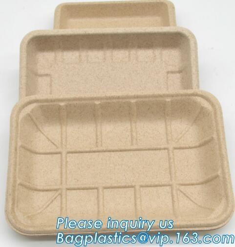 Dishes & Plates Dinnerware Blister packaging Resturant Disposable Food Serving Tray food disposable container