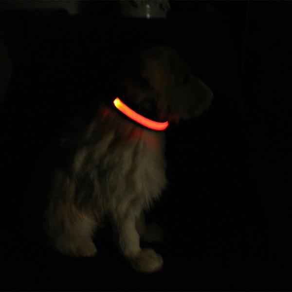 Eco - Friendly LED Dog Collar Rechargeable Three Flash Mode Nylon