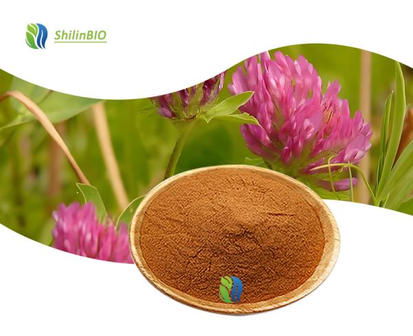 Red Clover Isoflavones