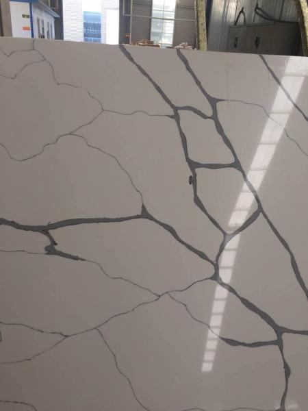 Black Vein Calacatta Kitchen Countertops , Waterproof Calacutta Quartzite Countertops