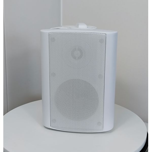 Haut-parleur portable HiFi 8 ohms 6 pour montage mural, 100-20KHZ