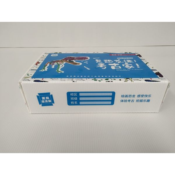 Boîte de carton de mur de cadeau de commerce électronique de FC 001 double anti