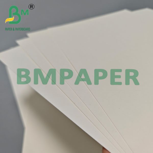210gsm 230gsm Biodegradable Hot Coffee Tea Cup Paper Raw Material 210gsm 230gsm Biodegradable Hot Coffee Tea Cup Paper Raw Material