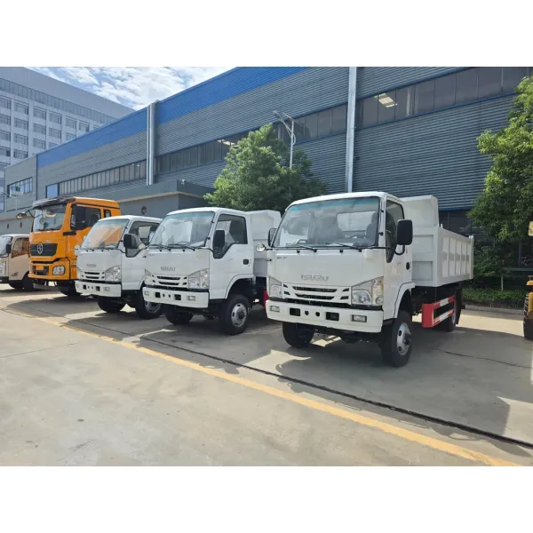 Isuzu 5 Ton Dump Truck 4X4 Drive 5 Ton Loading Capacity Shipped From China Factory